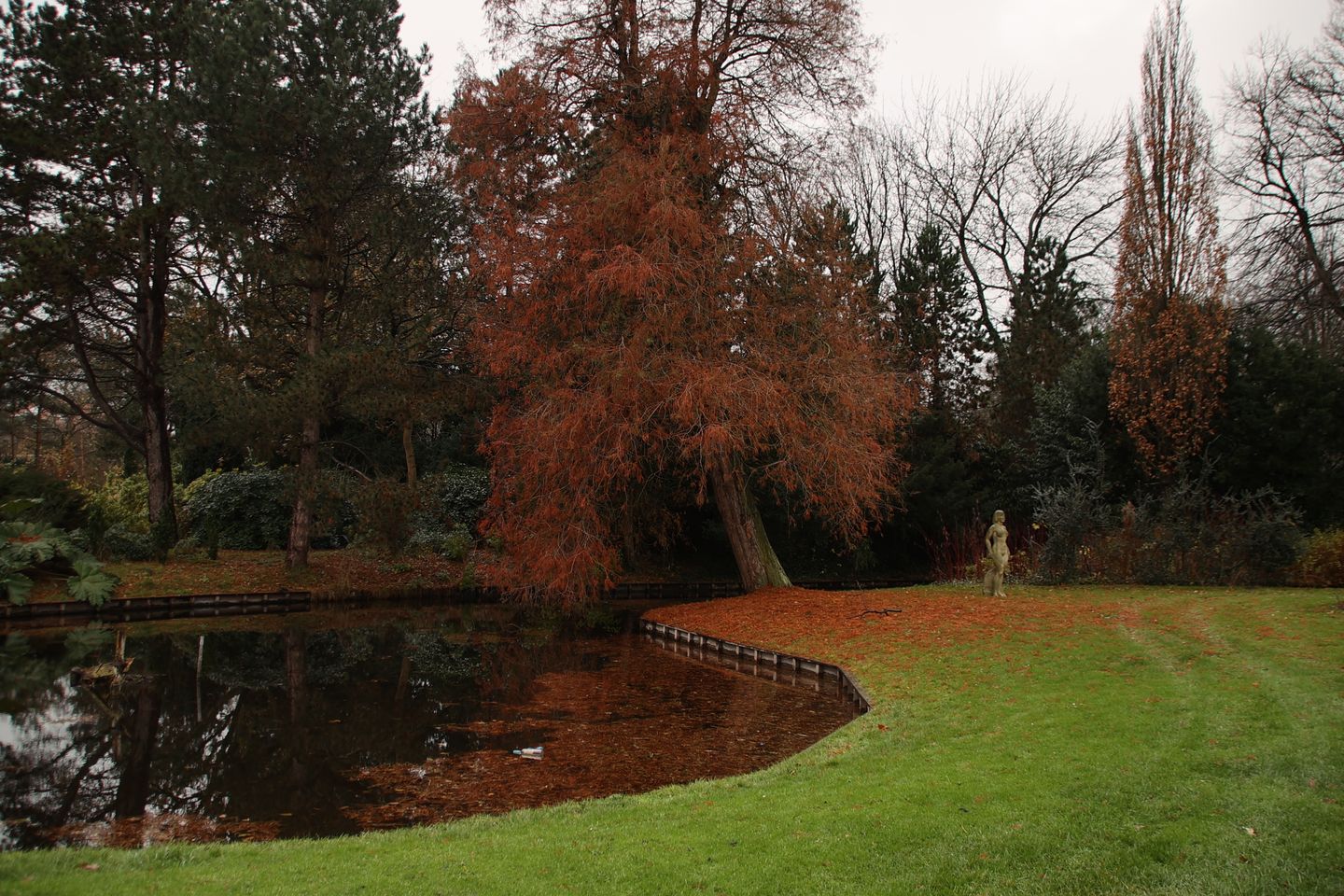 Foto 65 van d'Aumeriestraat 2