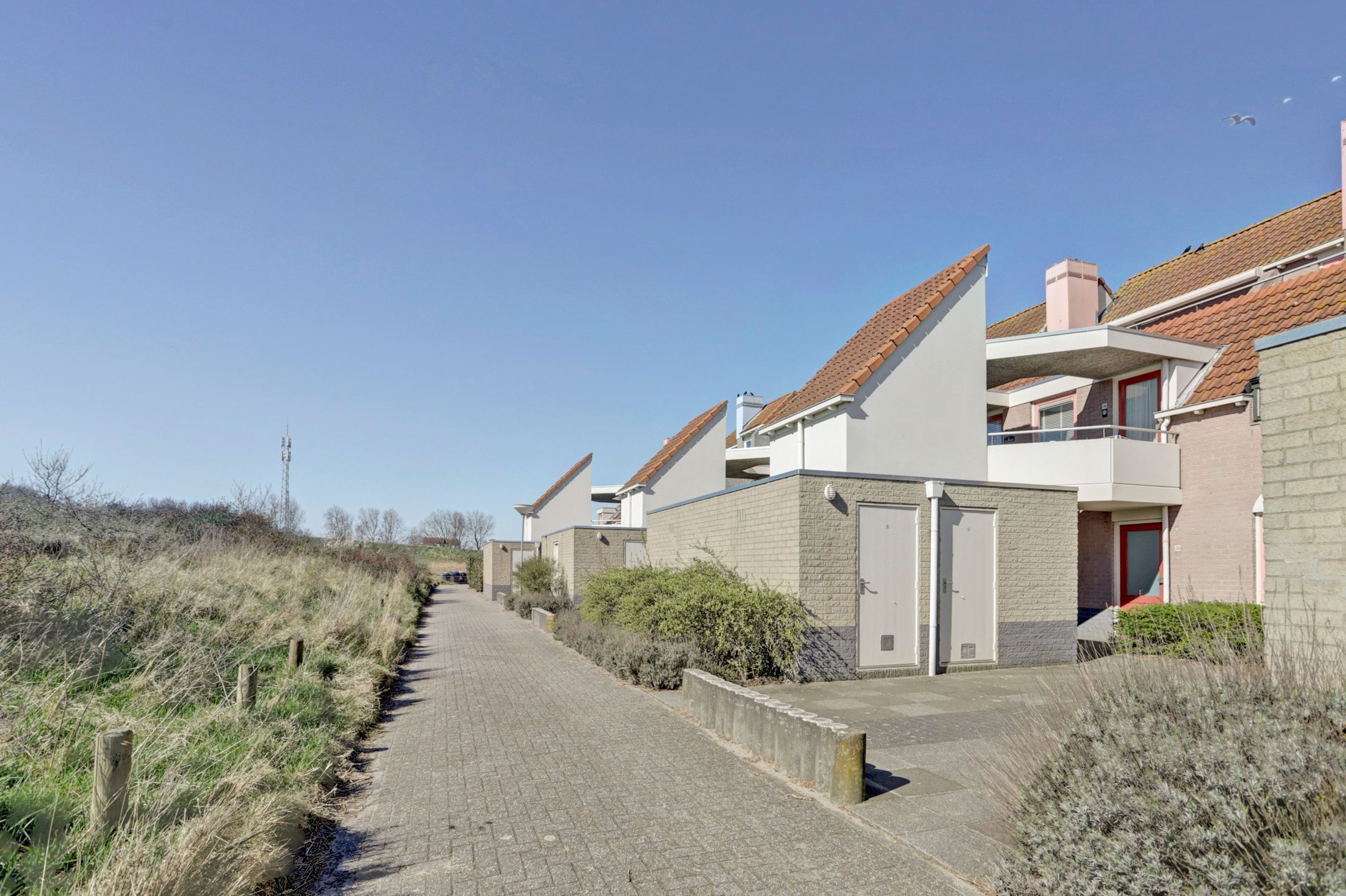 3-bedroom freehold villa in Brouwershaven — photo 4 of 5