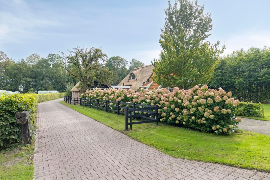 Foto 11 van de Haspel 27