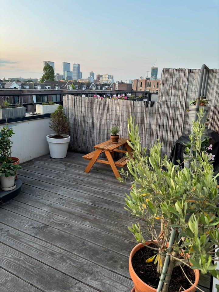 Foto 46 van Rochussenstraat 191-C