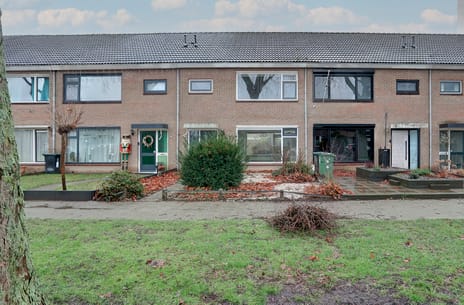 undefined main image