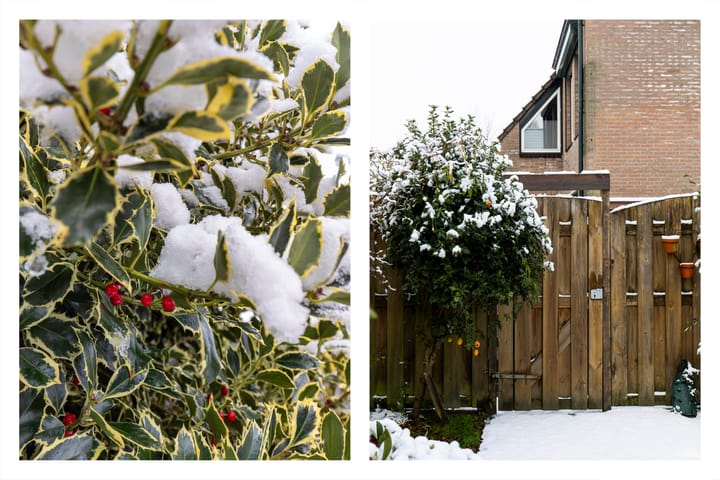 Foto 29 van Aletta Jacobslaan 3