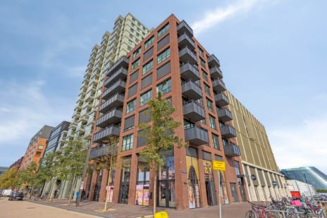 undefined main image