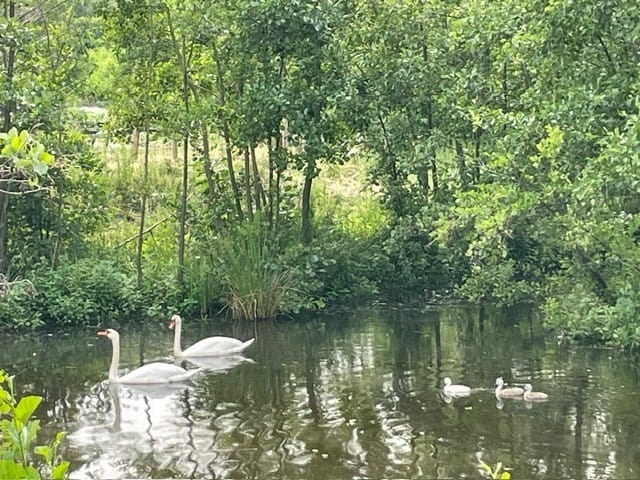 Foto 30 van Mostheuvelstraat 87