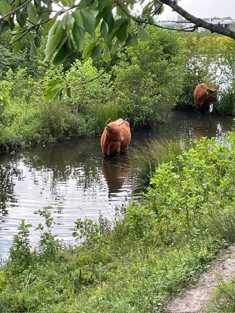 Foto 31 van Mostheuvelstraat 87