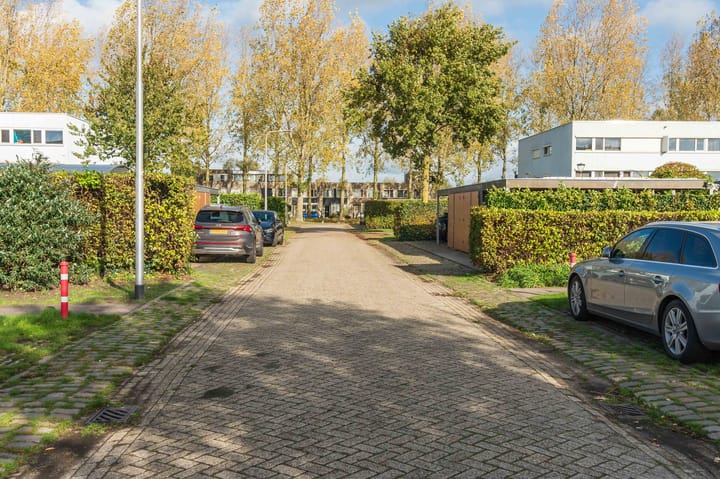 Foto 46 van Schipluidenlaan 65