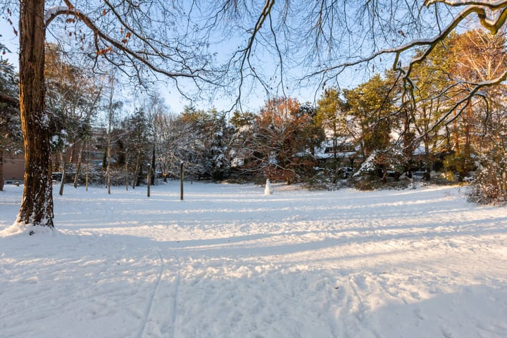 Foto 5 van Bachlaan 13