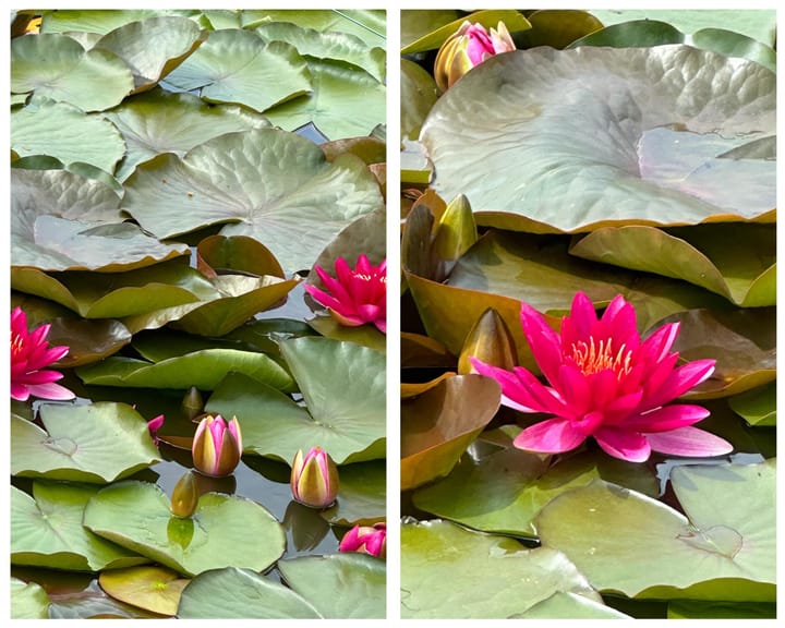 Foto 55 van Groningerstraat 175-A