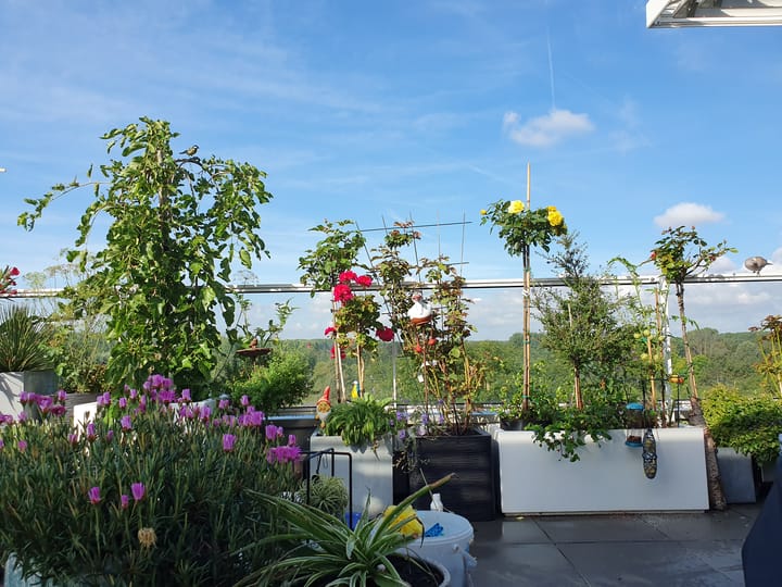 Foto 4 van Graaf Walramlaan 51