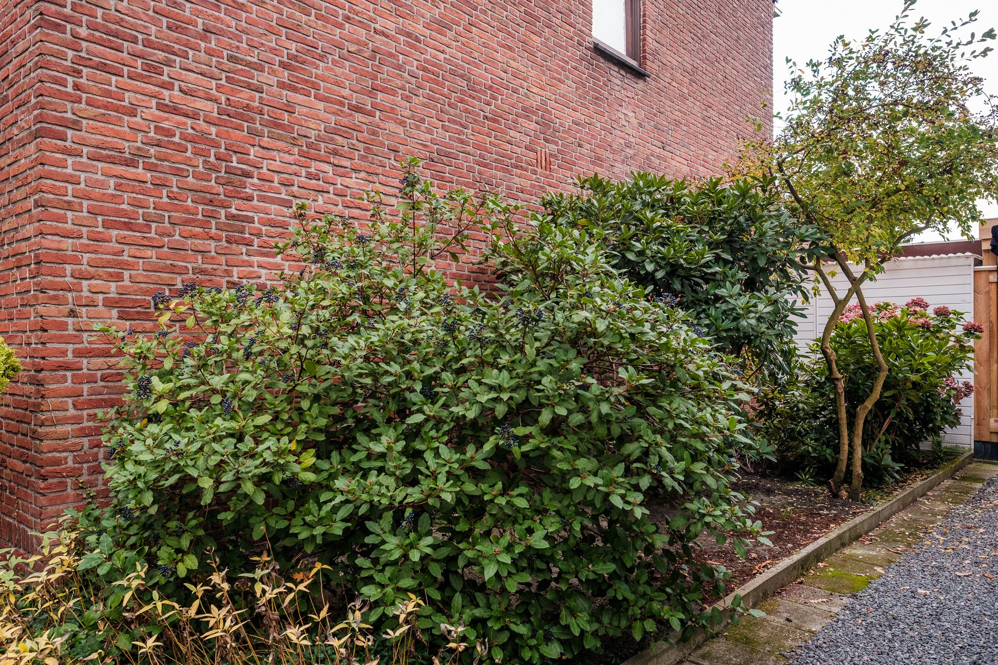 Foto 69 van Zandstraat 120