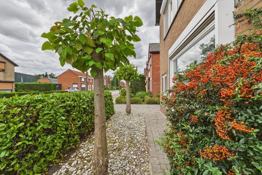 Photo 8 of 's-Gravenstraat 4