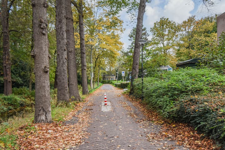 Foto 34 van Laan te Blotinghe 5