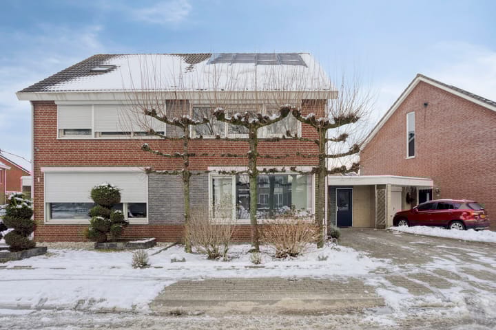 Foto 3 van Zilverschoon 3