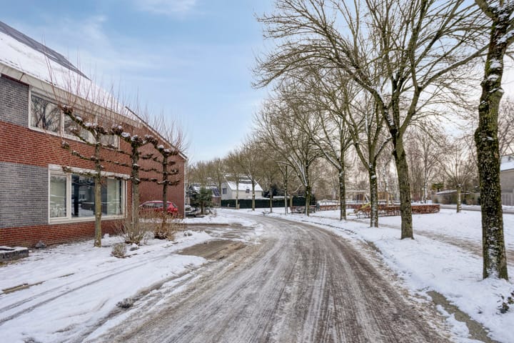 Foto 4 van Zilverschoon 3