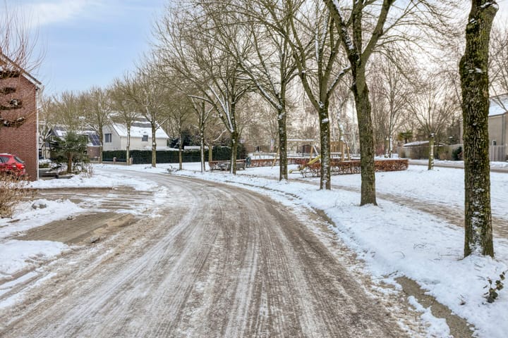 Foto 34 van Zilverschoon 3