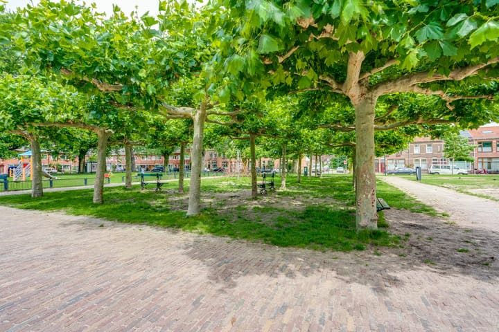 Photo 55 of Potgieterstraat 42