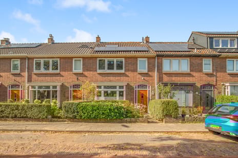 undefined main image