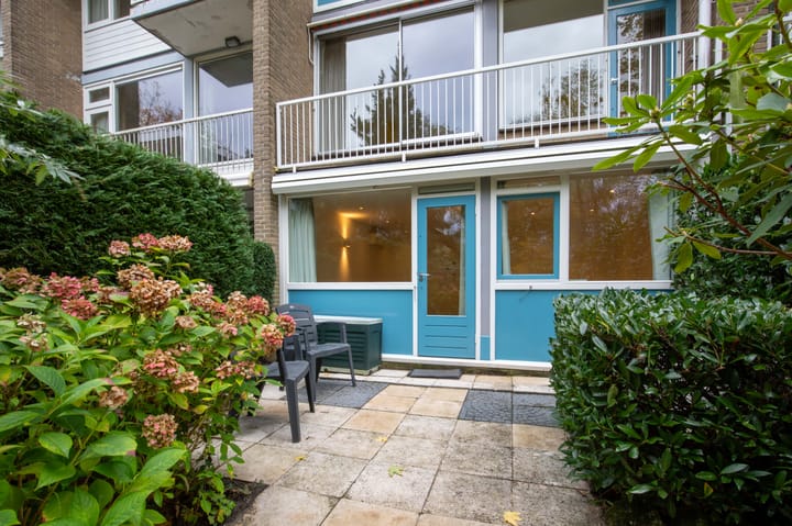 Foto 22 van Van der Boechorststraat 46-A