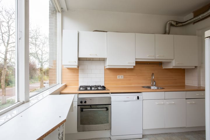 Foto 29 van Van der Boechorststraat 46-A