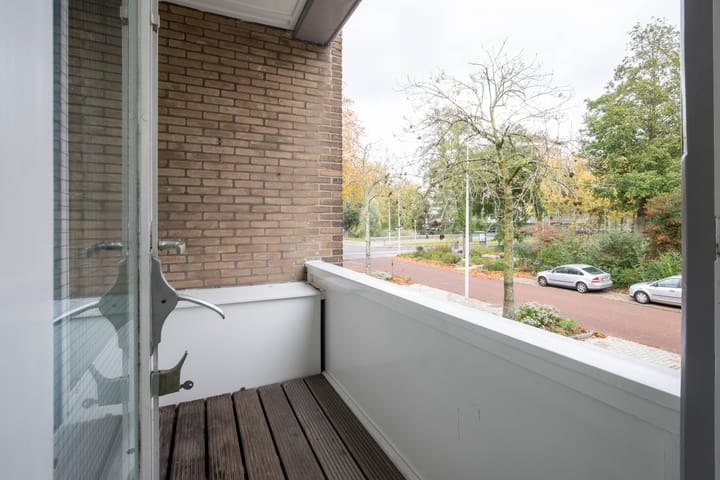 Foto 30 van Van der Boechorststraat 46-A