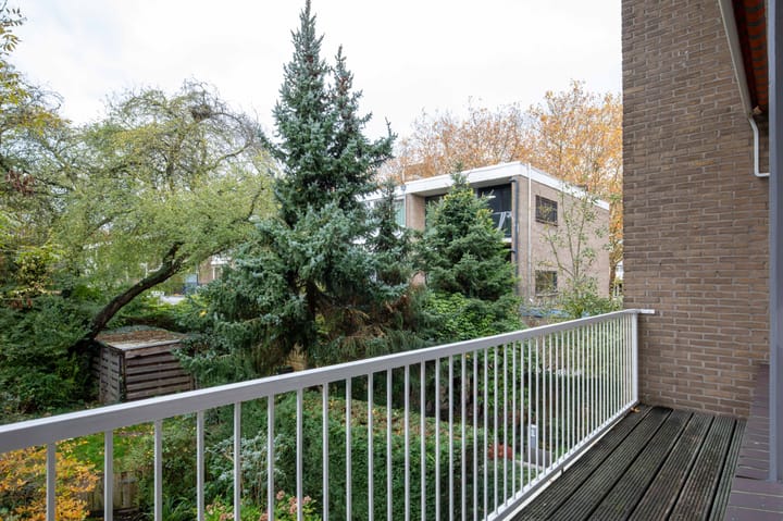 Foto 27 van Van der Boechorststraat 46-A