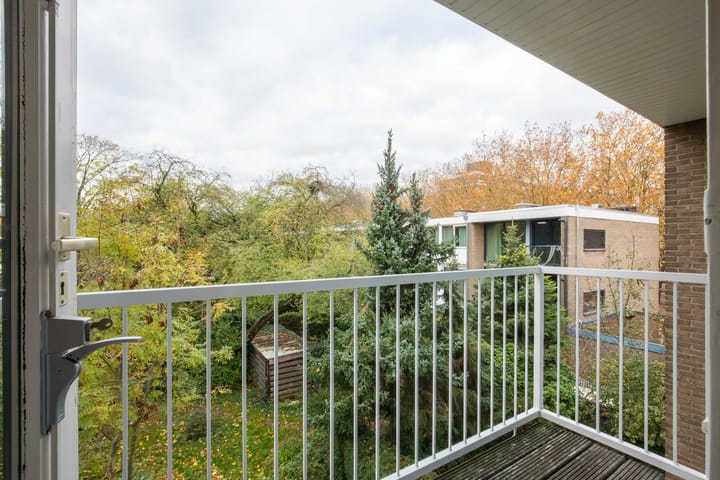 Foto 40 van Van der Boechorststraat 46-A