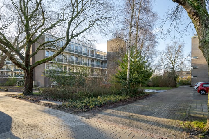 Photo 38 of Tsjaikovskilaan 37