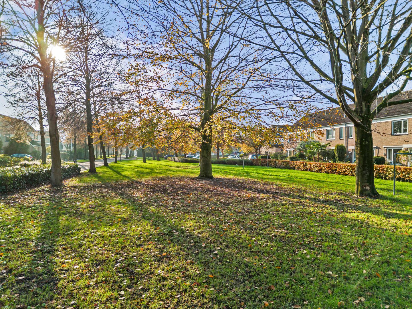 Foto 5 van Mesdaglaan 13