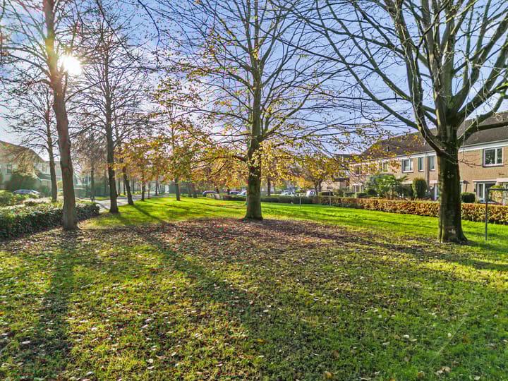 Foto 5 van Mesdaglaan 13