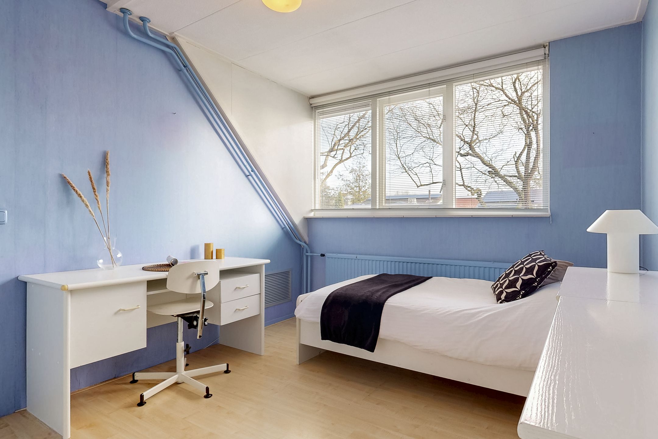 Foto 21 van Mesdaglaan 13