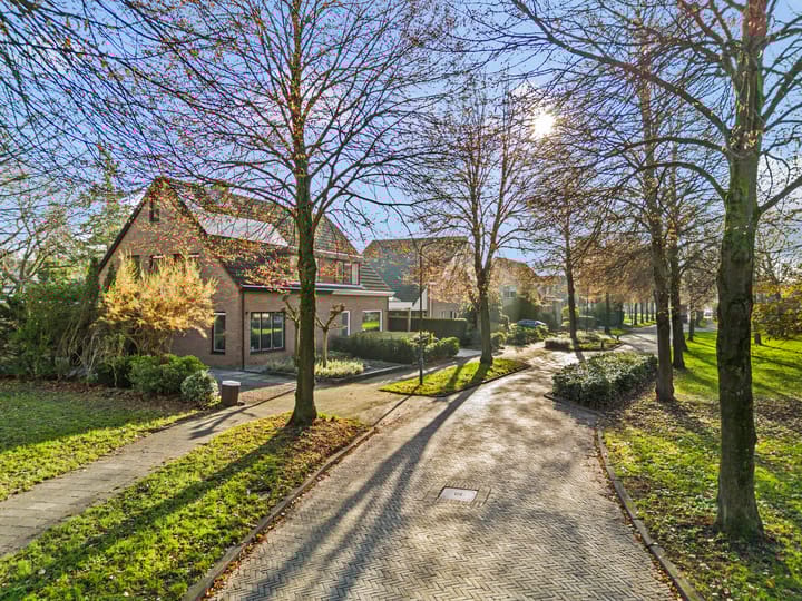 Foto 34 van Mesdaglaan 13