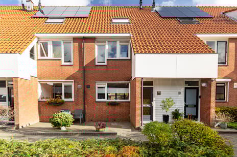 undefined main image