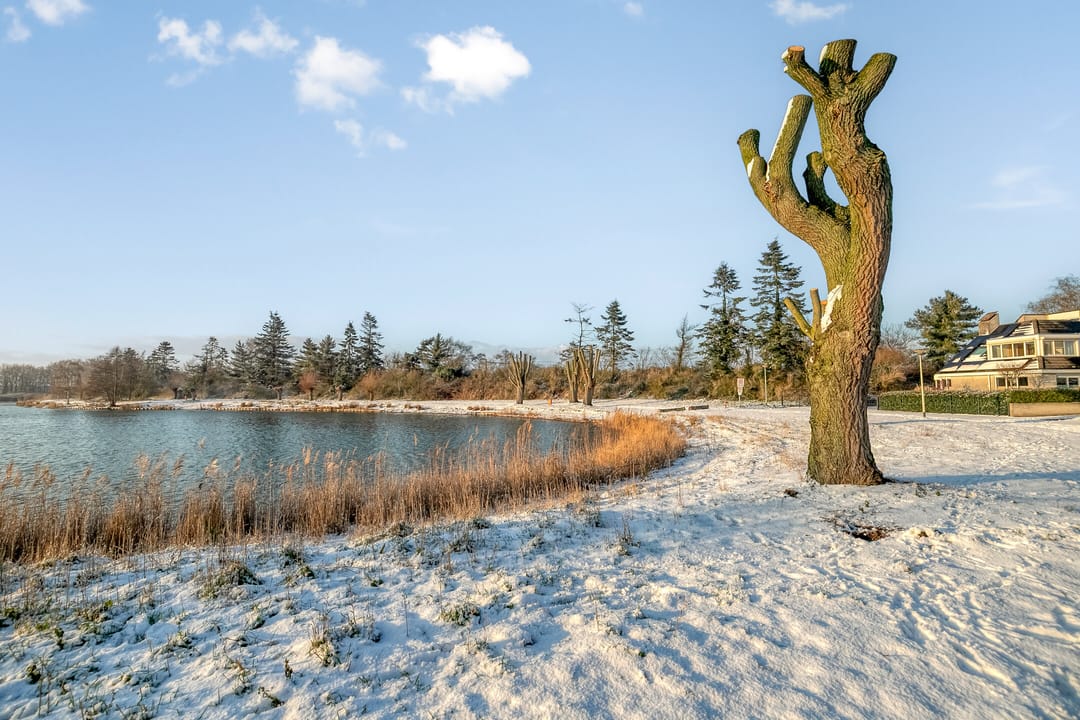 Photo 43 of Thorbeckelaan 28