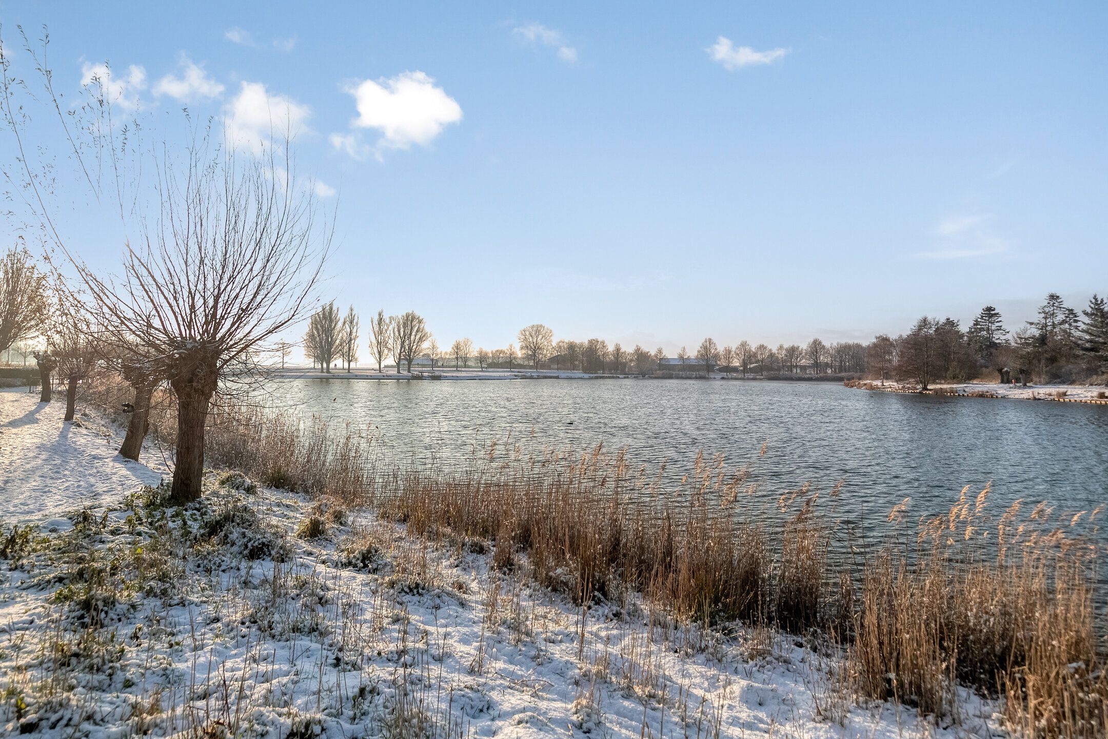 Photo 45 of Thorbeckelaan 28