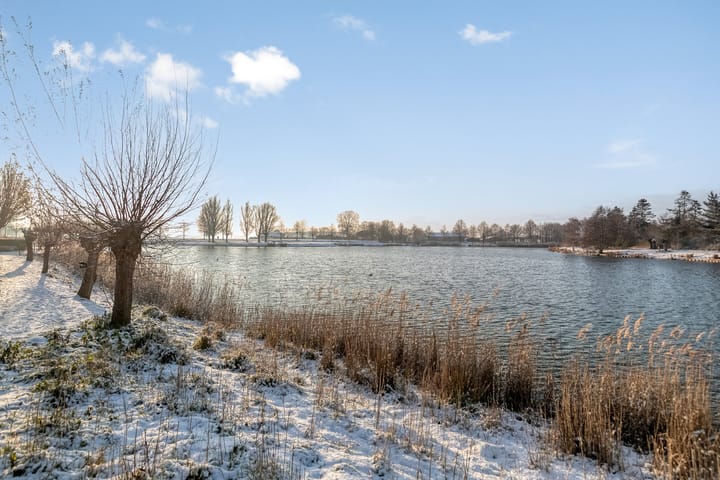 Foto 45 van Thorbeckelaan 28