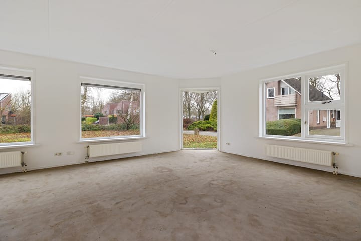 Foto 3 van Dwerggors 1