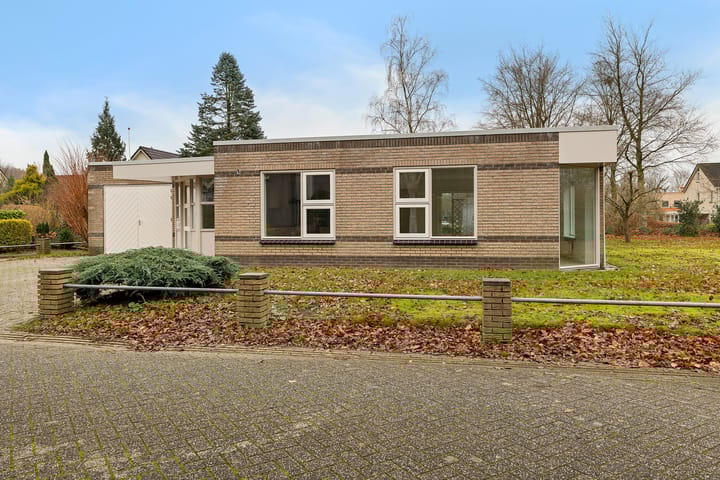 Foto 5 van Dwerggors 1