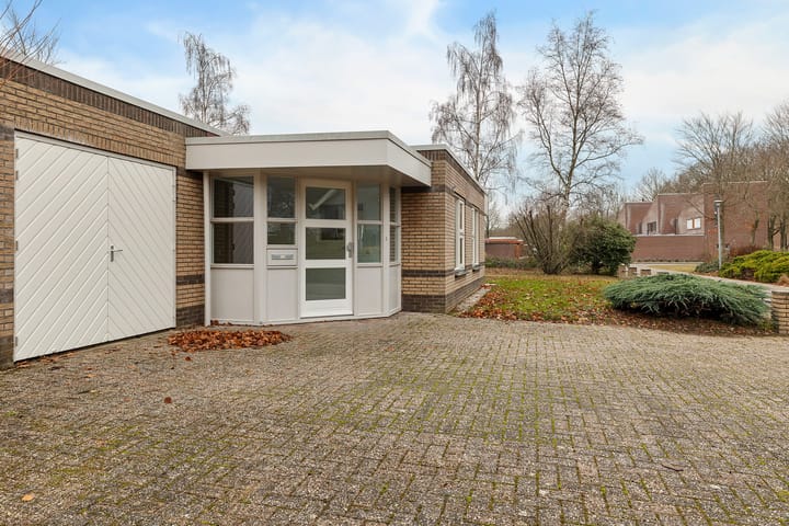 Foto 8 van Dwerggors 1