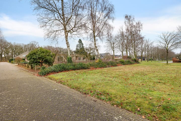 Foto 9 van Dwerggors 1