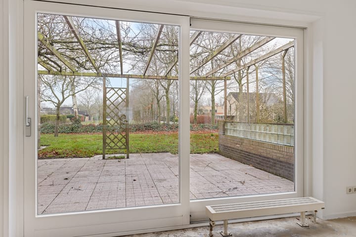 Foto 12 van Dwerggors 1