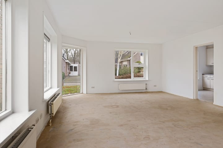 Foto 13 van Dwerggors 1