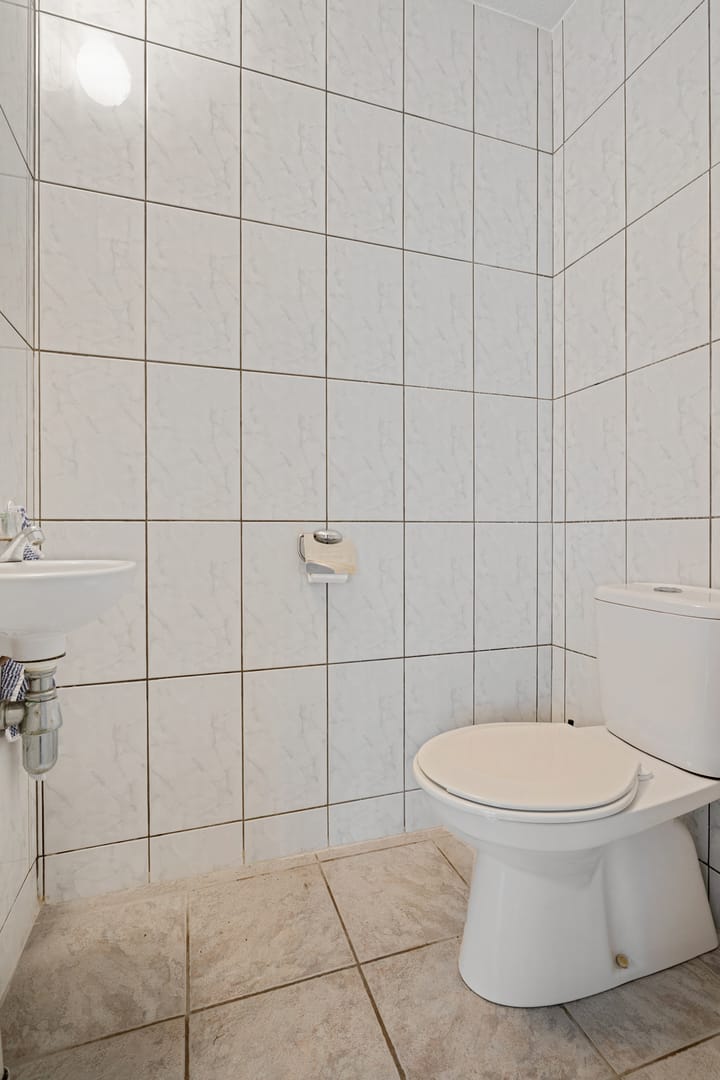 Foto 18 van Dwerggors 1