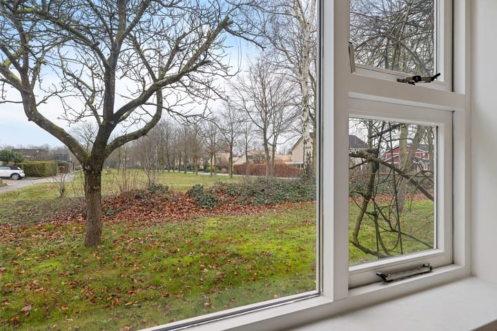 Foto 24 van Dwerggors 1