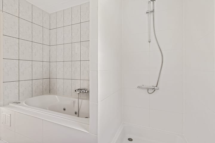 Foto 29 van Dwerggors 1