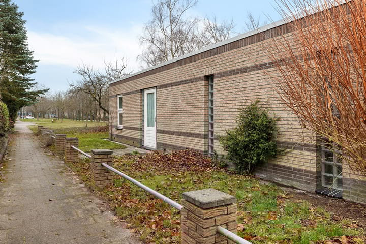 Foto 30 van Dwerggors 1