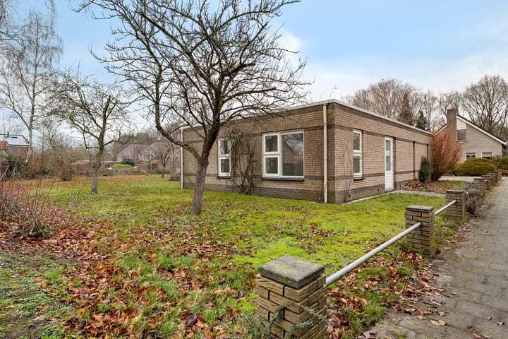 Foto 31 van Dwerggors 1