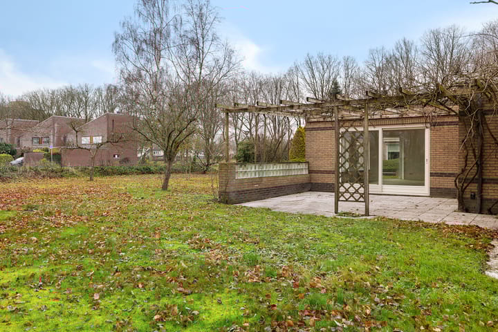 Foto 32 van Dwerggors 1