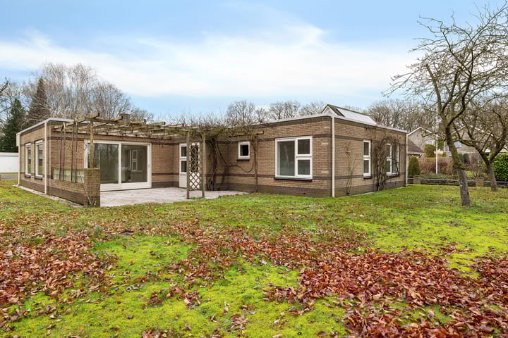 Foto 33 van Dwerggors 1