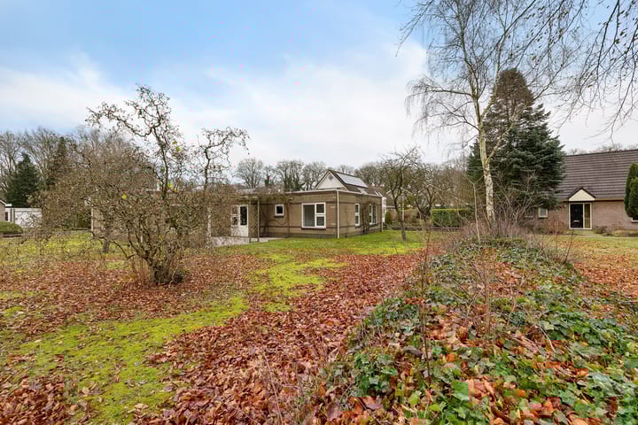 Foto 34 van Dwerggors 1