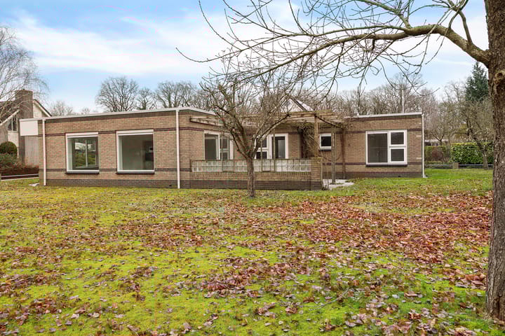 Foto 35 van Dwerggors 1